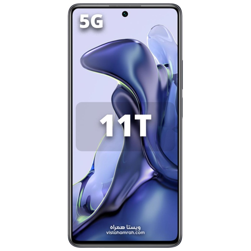 11T