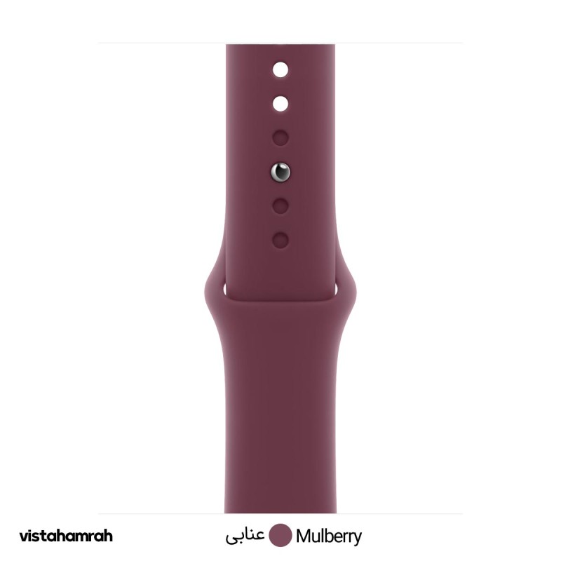 ساعت هوشمند اپل واچ سری (SE 2 (2023 مدل 40mm بدنه آلومینیوم با بند سیلیکونی
