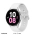 ساعت هوشمند سامسونگ مدل Galaxy Watch 5 (SM-R910) 44mm