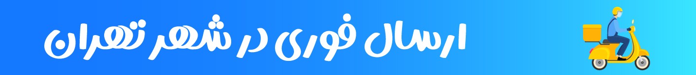 ارسال فوری در تهران